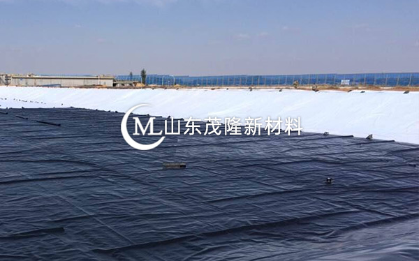 《衡水主城區生態修復工程》土工布、復合土工布施工