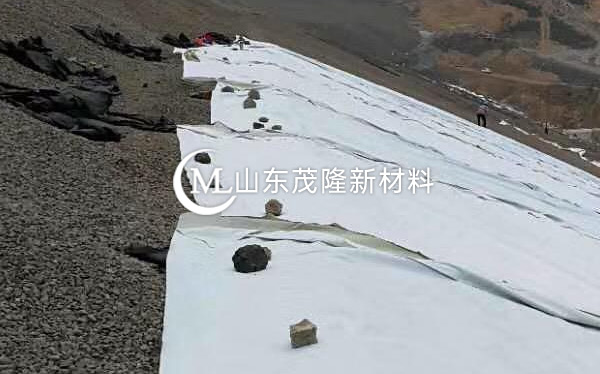 《銀西項目》排水板、復合土工膜施工