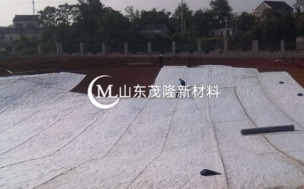 《郁南縣都城環衛所》防水毯施工