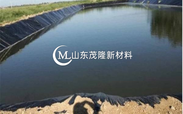 人工湖土工膜 第1張