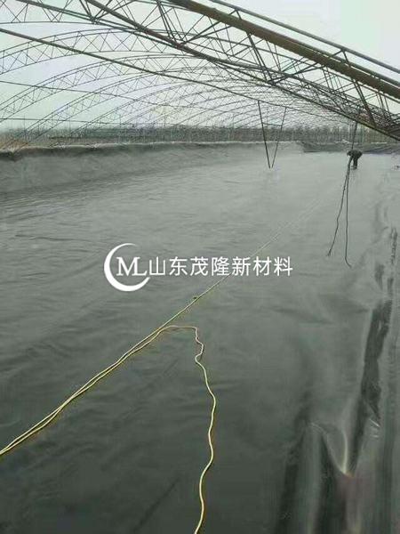 防滲膜可作用于煉油基地地面防滲