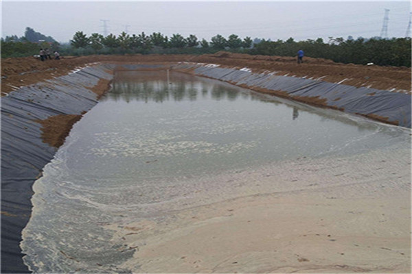 魚(yú)塘防滲膜在養(yǎng)殖領(lǐng)域中的優(yōu)勢(shì)
