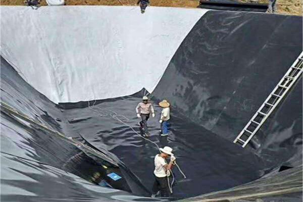 在危險廢物填埋領域哪些可以用到土工膜 第1張