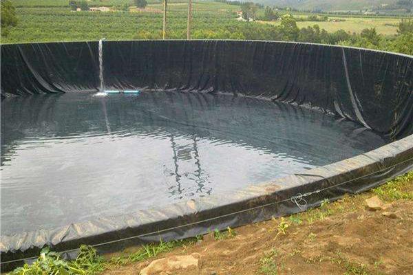 土工膜在藕池中的應用 第1張