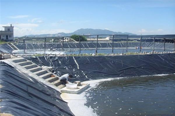 防滲土工膜為什么用在污水池中  第1張