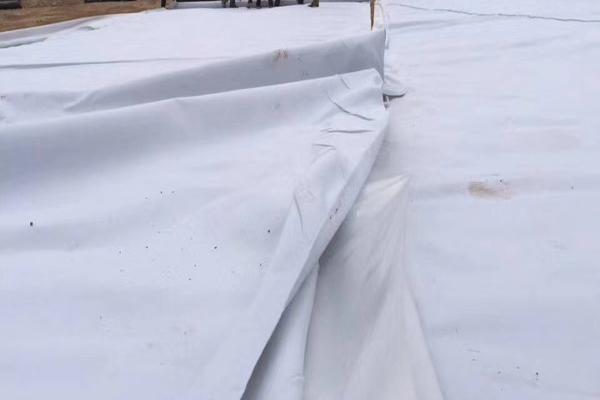 工程中應用復合土工膜的優勢以及使用體驗分享  第1張