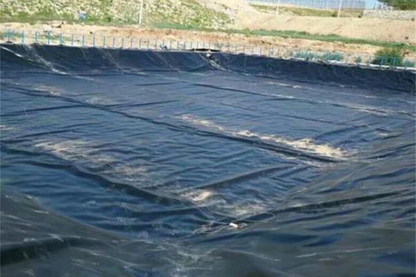 土工膜與混凝土的粘結(jié)施工技巧揭秘 第2張