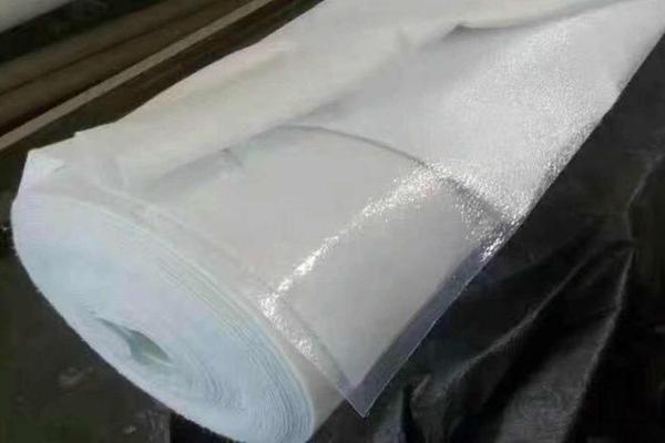 復(fù)合土工膜:未來(lái)市場(chǎng)趨勢(shì)與發(fā)展方向分析 第1張