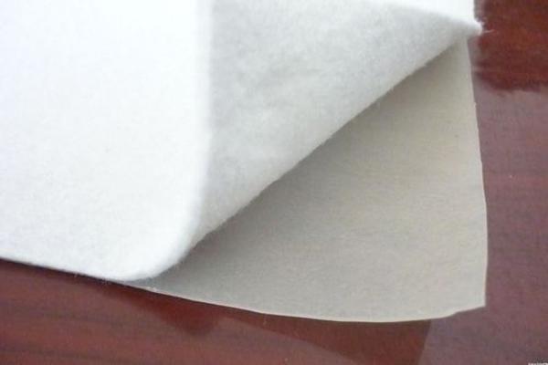 復(fù)合土工膜:未來(lái)市場(chǎng)趨勢(shì)與發(fā)展方向分析 第2張