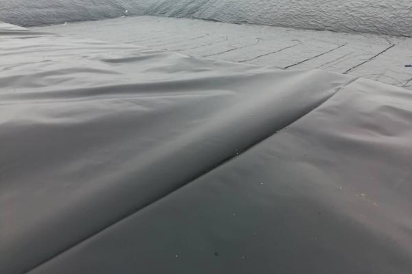 土工膜在種植中的應用價值:防滲土工膜能否用于種植? 第1張