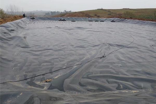 土工膜在種植中的應用價值:防滲土工膜能否用于種植? 第2張