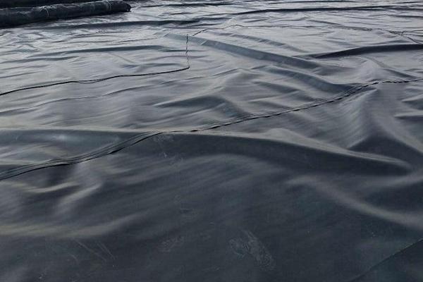 土工膜在種植中的應用價值:防滲土工膜能否用于種植? 第3張