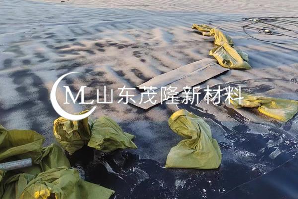 《中國(guó)石化集團(tuán)石油商業(yè)儲(chǔ)備有限公司青島分公司董家口原油商業(yè)儲(chǔ)備基底工程項(xiàng)目》土工膜施工