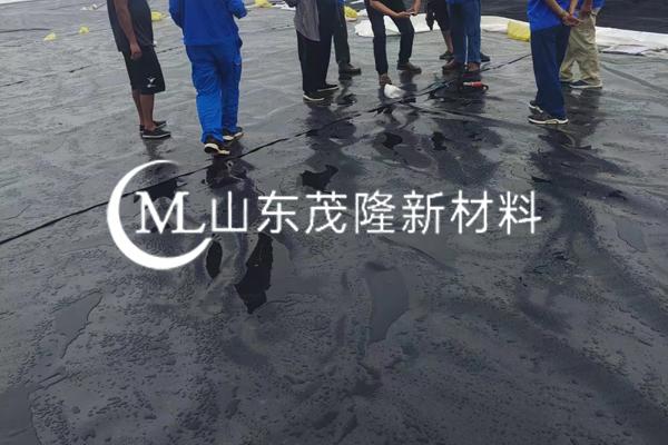 《中國(guó)石化洛陽(yáng)分公司洛陽(yáng)原油商儲(chǔ)基底工程項(xiàng)目》土工膜施工