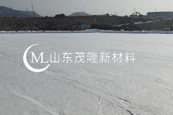 《小羊邑場項(xiàng)目》土工布施工