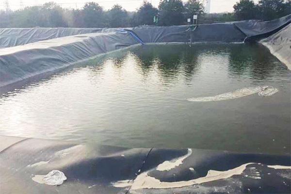如何選擇魚塘土工膜厚度？  第1張
