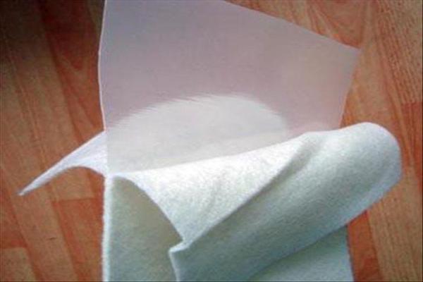 復(fù)合土工膜在渠道防滲、堤壩加固及水庫(kù)除險(xiǎn)工程中的實(shí)際應(yīng)用  第1張