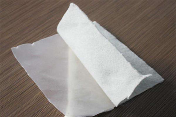 復合土工膜在重大基礎設施項目中的實施經驗  第1張