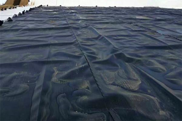 土工膜和pe膜的區別在哪里 第3張