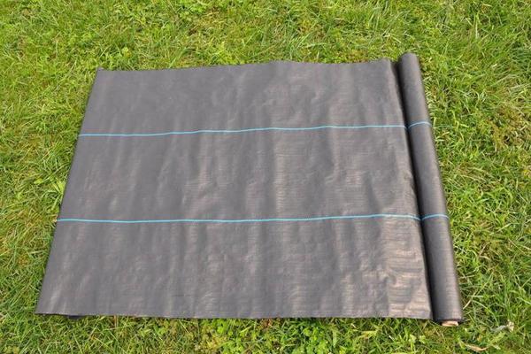 防草膜與防草布對(duì)比  第2張