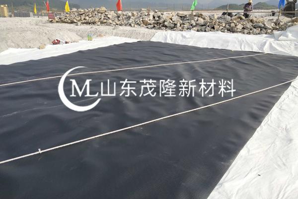 《中石化商業(yè)儲備有限公司湛江東海島原油商業(yè)儲備基地工程項目》土工膜施工