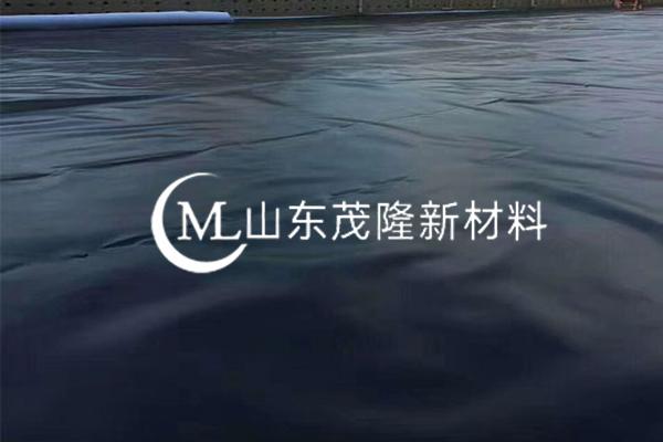 《龍大養(yǎng)殖有限公司景芝鎮(zhèn)沼氣利用及污水處理工程項(xiàng)目部》土工膜施工