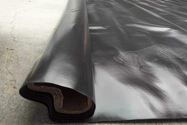 魚塘土工膜怎么施工  第1張