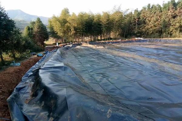 土工膜在陽光照射下的抗老化情況  第2張