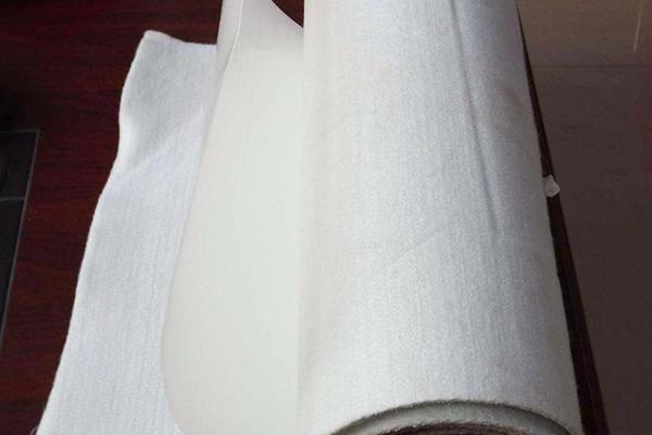 復(fù)合土工膜能不能泡水 第1張