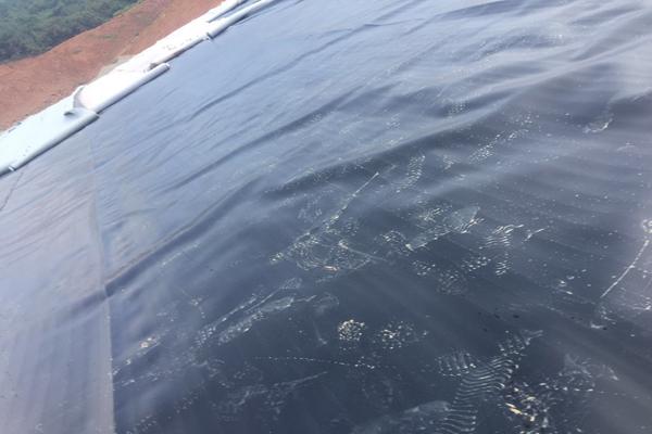 土工膜需要做型式檢測嗎 第2張