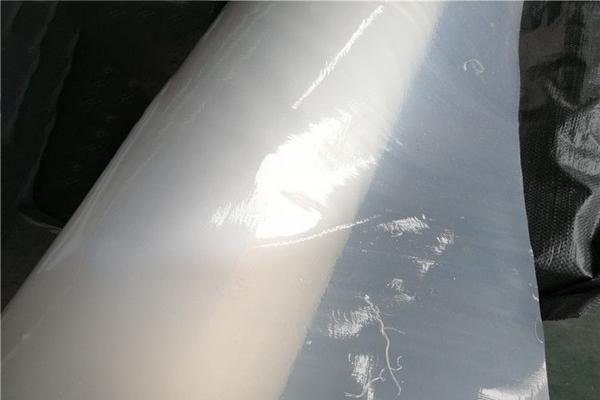 白色土工膜主要用在哪些工程中 第1張